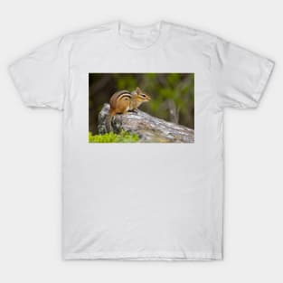 Chipmunk On Rock T-Shirt